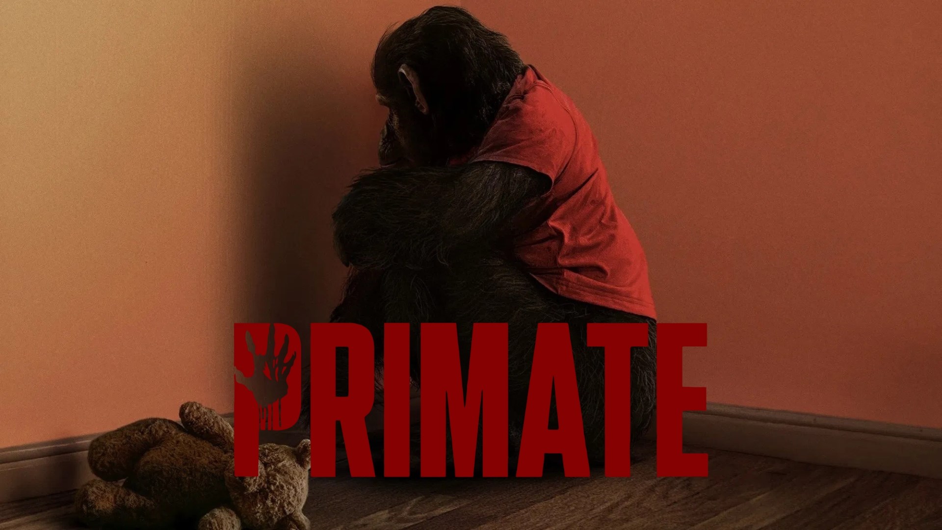 Primate